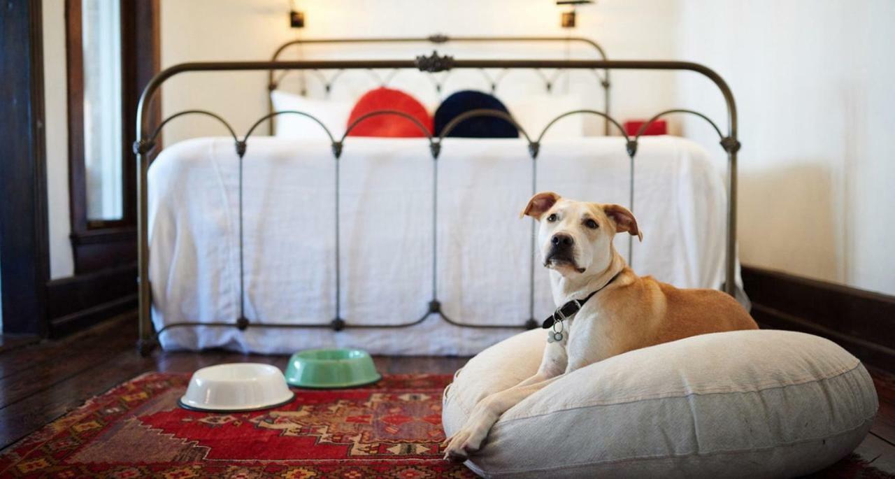 Hotel Havana サンアントニオ エクステリア 写真